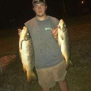 Meet your Posher, Lance